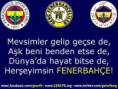 /album/fenerbah%c3%a7e/imagescafj4spa-jpg/
